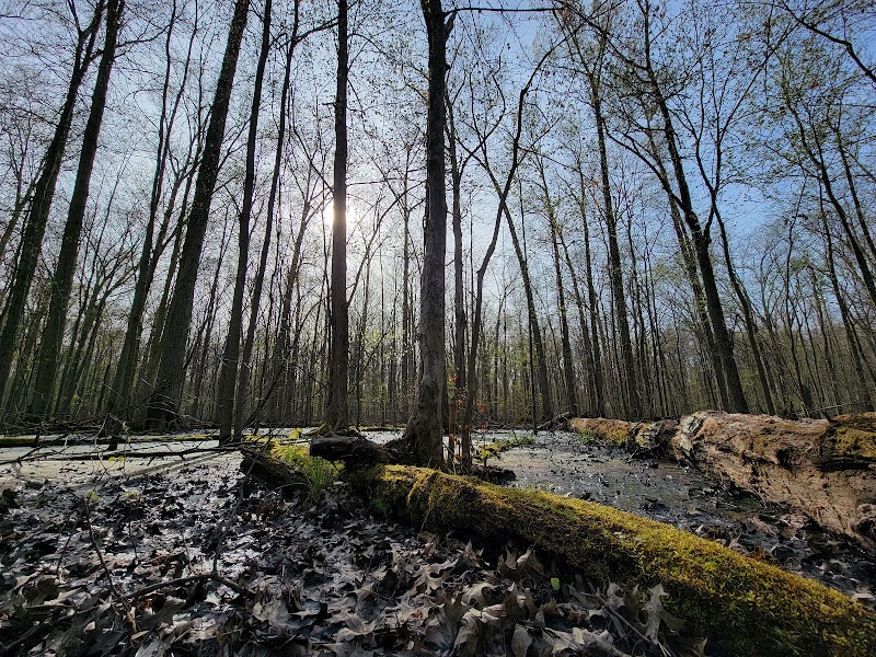 Sandy Ridge Reservation - North Ridgeville, OH