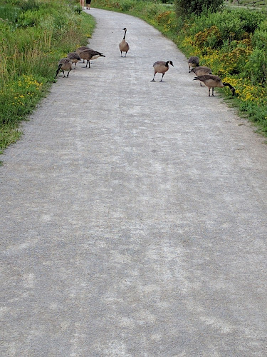 Sandy Ridge Reservation