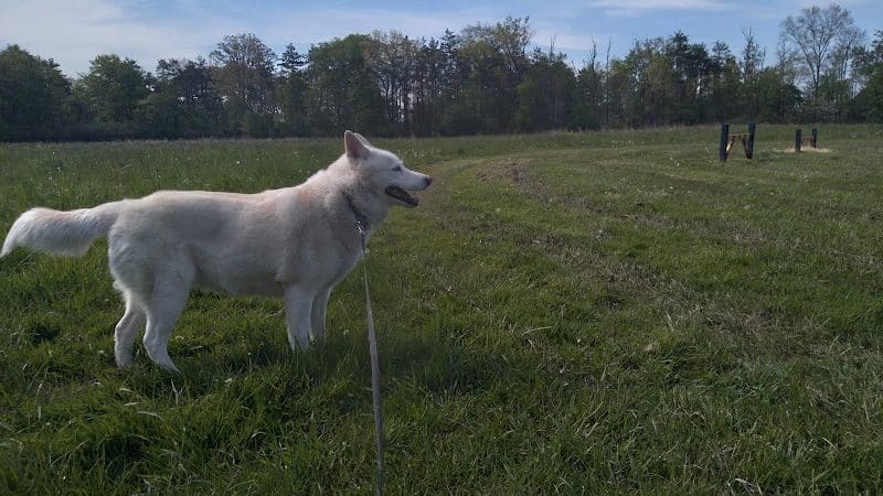 Aukerman Park - North Royalton, OH