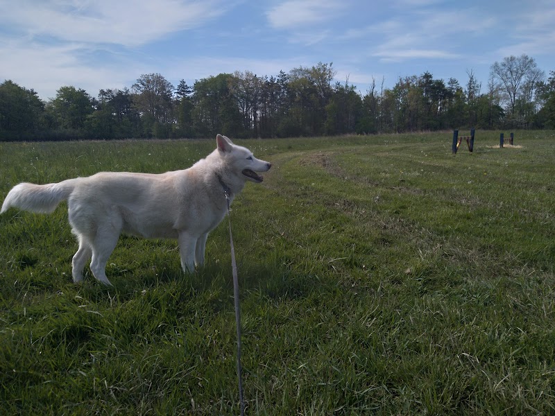 Aukerman Park - North Royalton, OH
