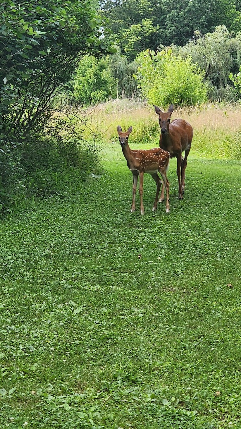 Aukerman Park - North Royalton, OH