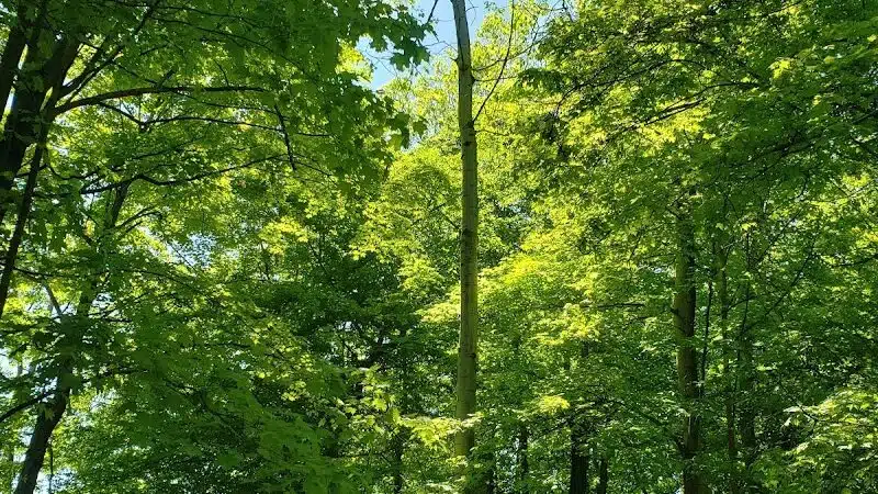 Memorial Park - North Royalton, OH