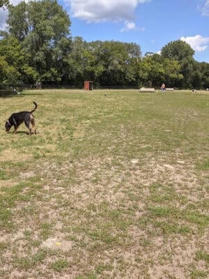 Northfield Dog Park