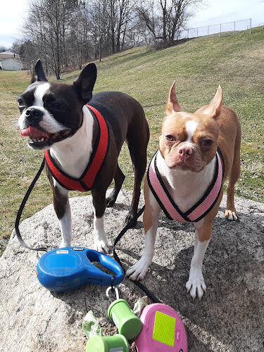 Smith Park