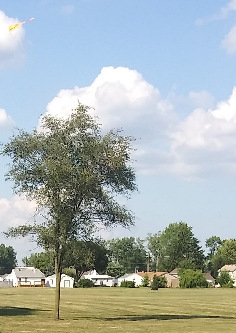 Brentwood Park - Northwood, OH
