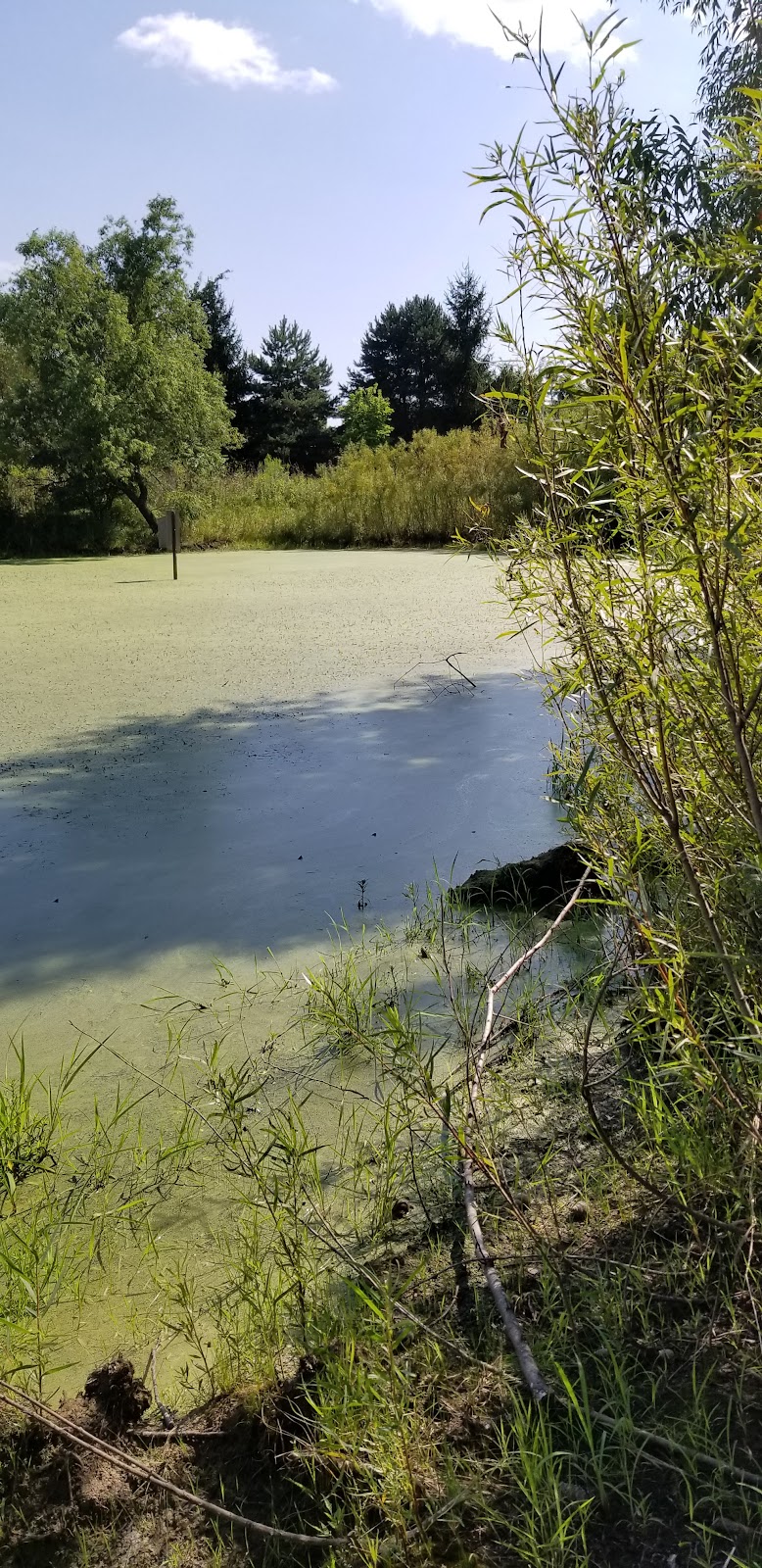 Nature Trails Park - Northwood, OH