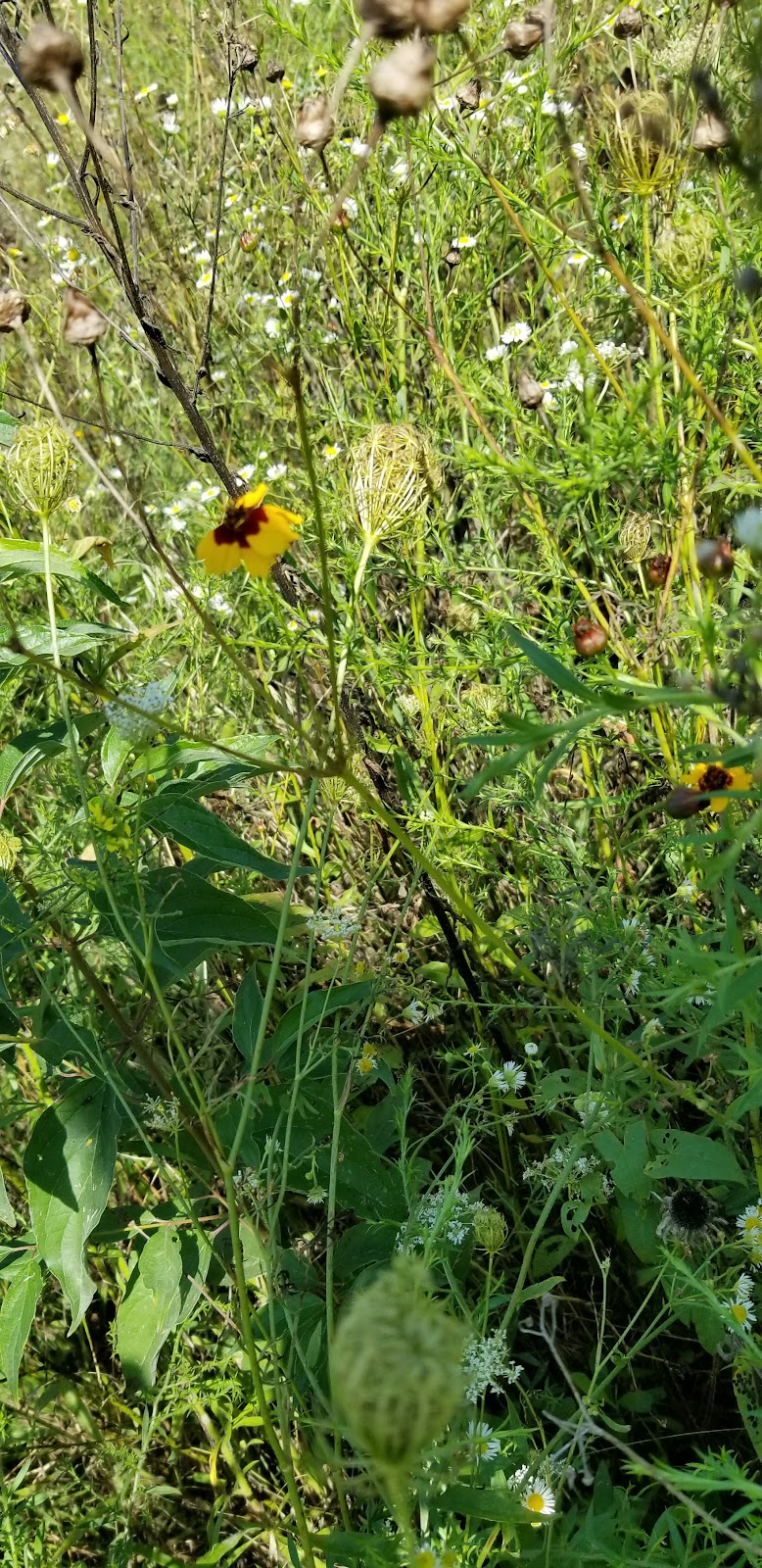 Nature Trails Park - Northwood, OH