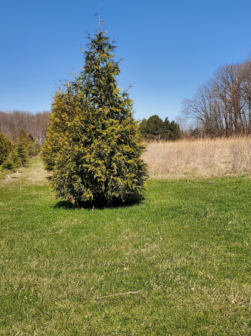 Nature Trails Park - Northwood, OH