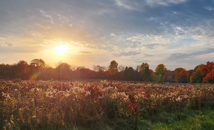 Silvercreek Cross Country Trails - Norton, OH