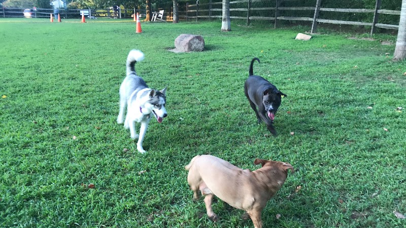 Rowayton Dog Park - Norwalk, CT
