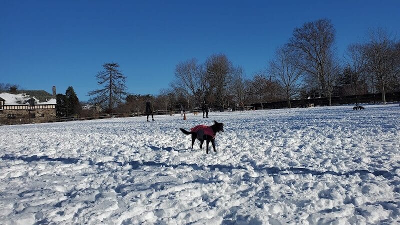 Rowayton Dog Park - Norwalk, CT