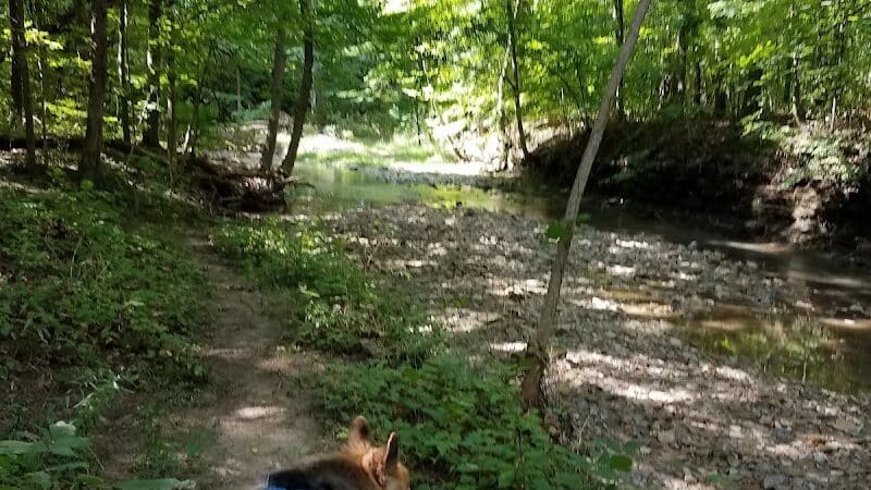 Huron County Nature Trails and Land Lab - Norwalk, OH