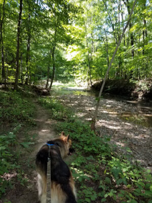 Huron County Nature Trails and Land Lab