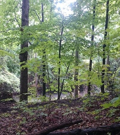 Huron County Nature Trails and Land Lab - Norwalk, OH