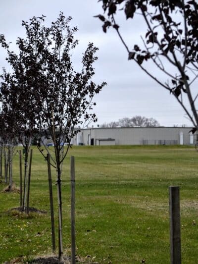 Lion's Park - Norwalk, OH