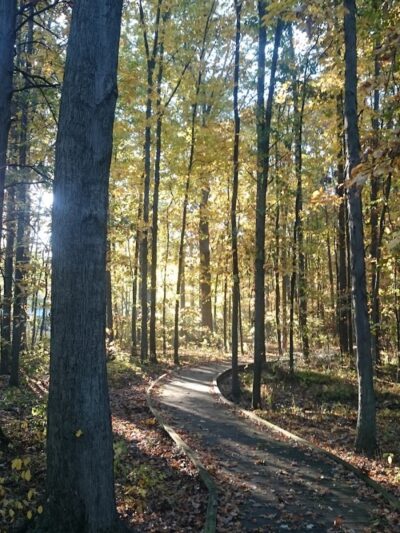 Lion's Park - Norwalk, OH