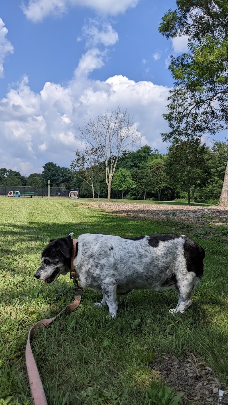 Estelle Cohn Memorial Dog Park - Norwich, CT