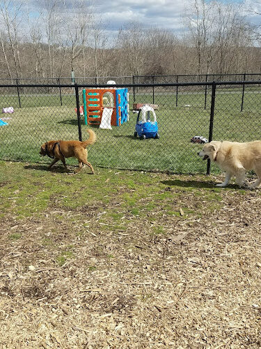 Estelle Cohn Memorial Dog Park