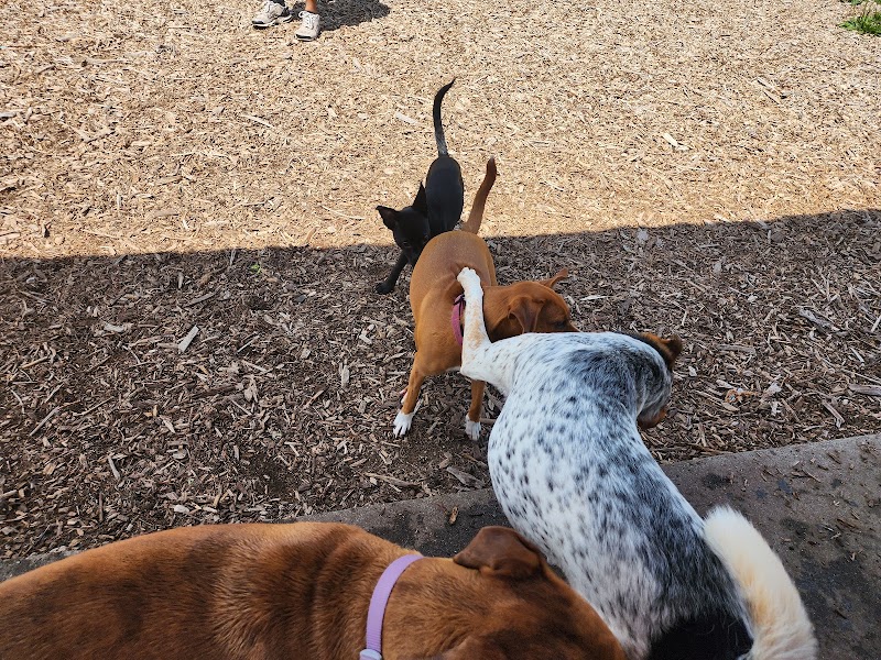 Estelle Cohn Memorial Dog Park - Norwich, CT