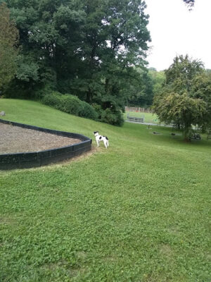 Lower Millcrest Park