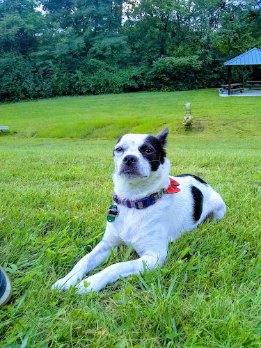 Upper Millcrest Park