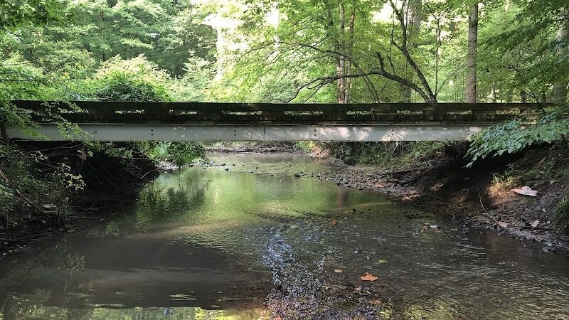 The West Woods - Novelty, OH