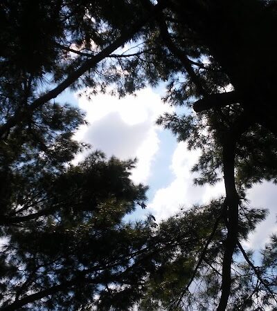 Veterans Memorial Park - Oak Harbor, OH