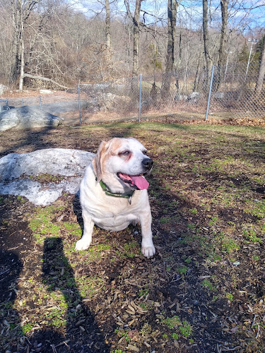 Montville Dog Park