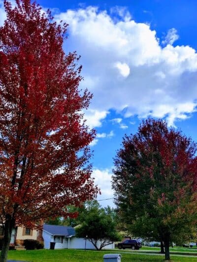 Oakwood Community Park - Oakwood, OH