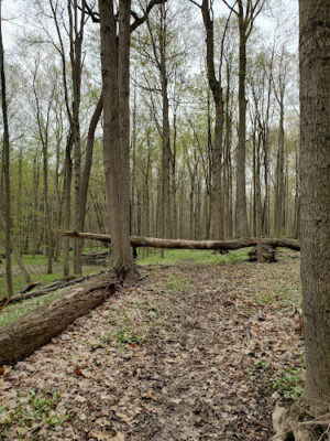Kipton Reservation