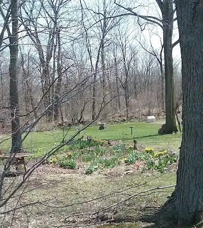 Kipton Community park - Oberlin, OH