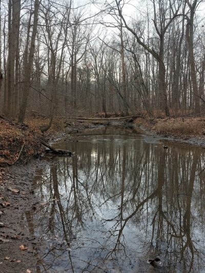 Kipton Reservation - Oberlin, OH