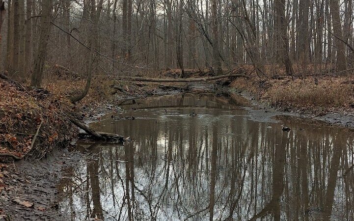 Kipton Reservation - Oberlin, OH
