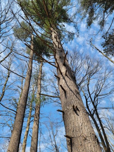 Kipton Reservation - Oberlin, OH