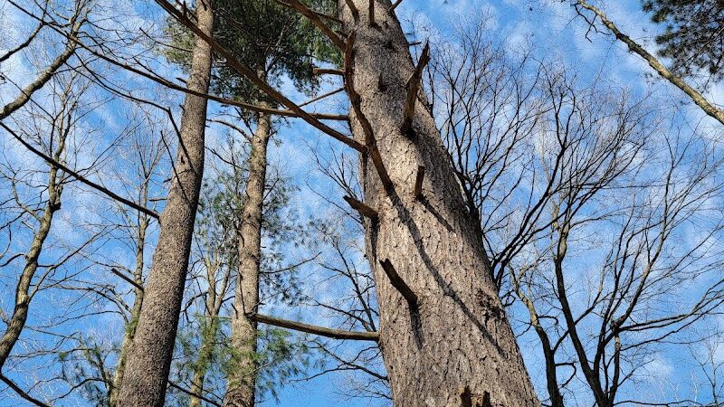 Kipton Reservation - Oberlin, OH