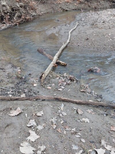 Kipton Reservation - Oberlin, OH