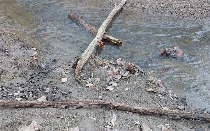Kipton Reservation - Oberlin, OH