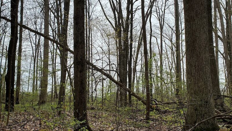 Kipton Reservation - Oberlin, OH