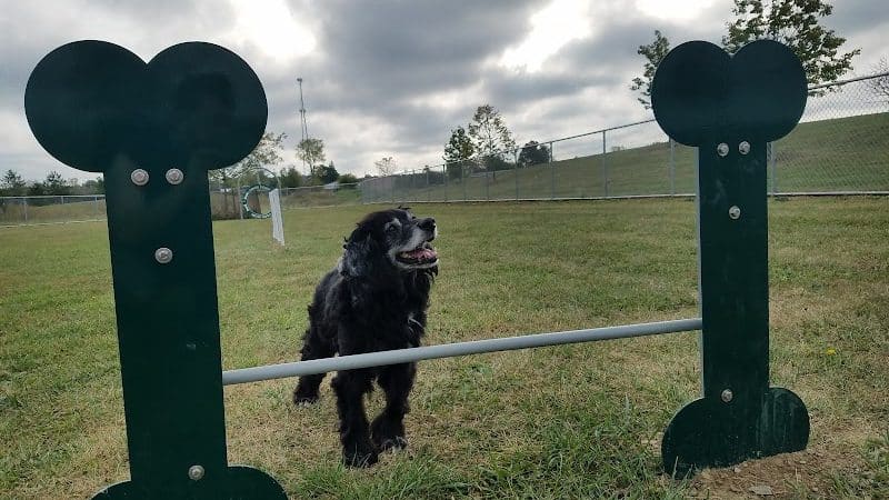 Oberlin Dog Park - Oberlin, OH