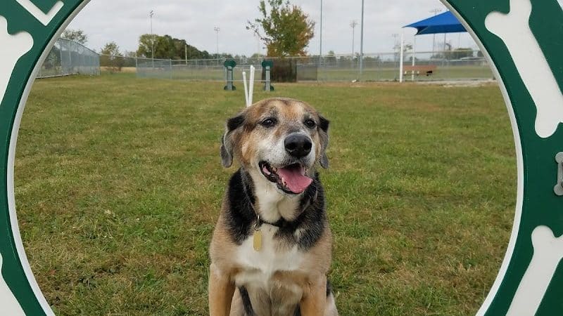 Oberlin Dog Park - Oberlin, OH