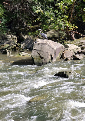 Olmsted Falls East River Park