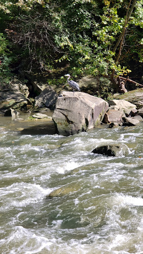 Olmsted Falls East River Park