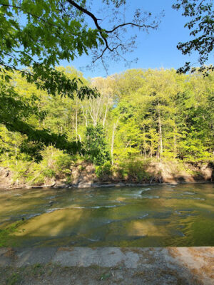 Lagoon Picnic Area