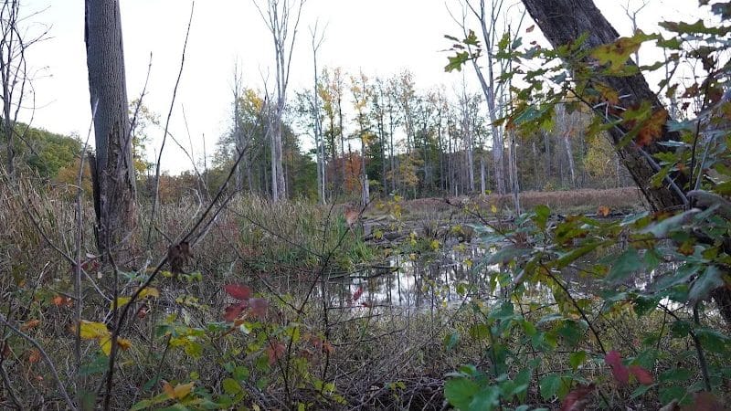 Lagoon Picnic Area - Olmsted Township, OH