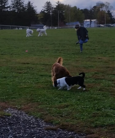 Maize Memorial Dog Park, llc