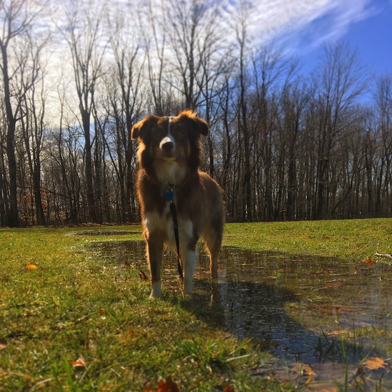 Maize Memorial Dog Park, llc - Ontario, OH