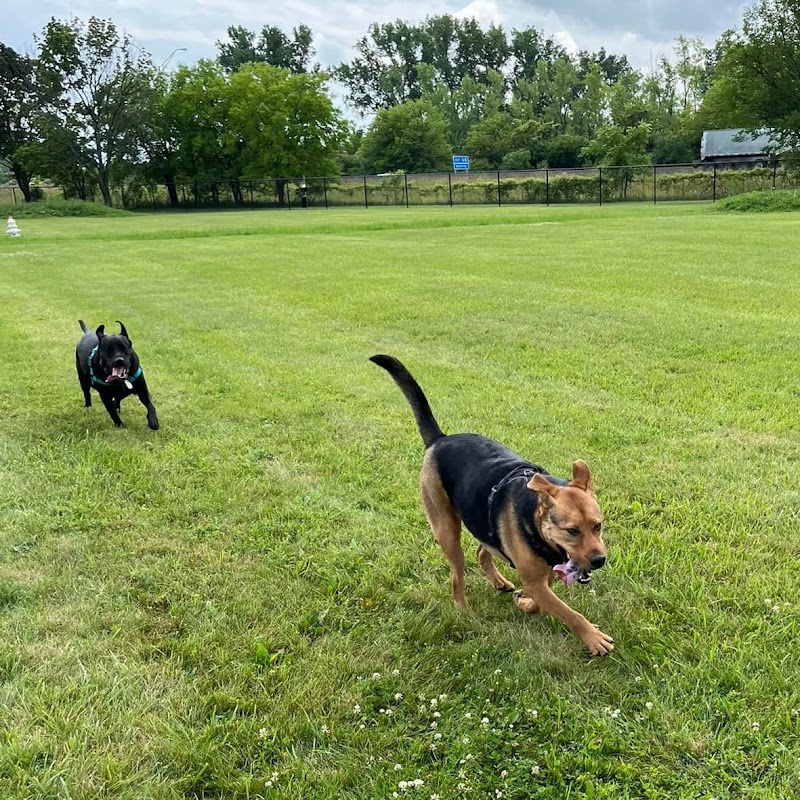 Jake & Cooper's Bark Park (Membership Required) - Oregon, OH
