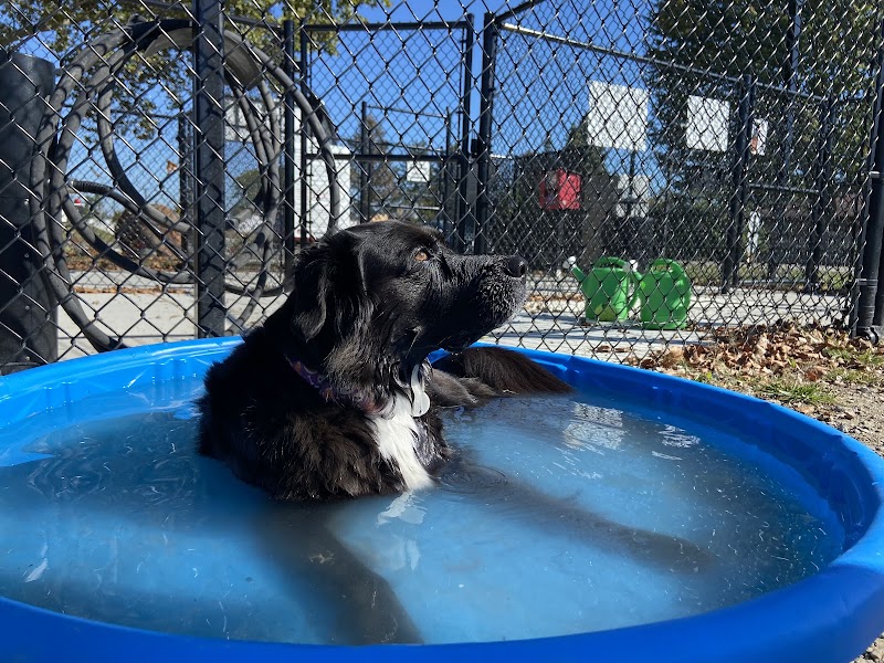 Jake & Cooper's Bark Park (Membership Required) - Oregon, OH