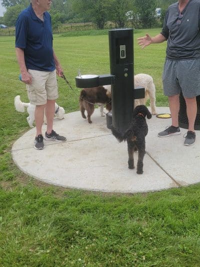 Jake & Cooper's Bark Park (Membership Required) - Oregon, OH