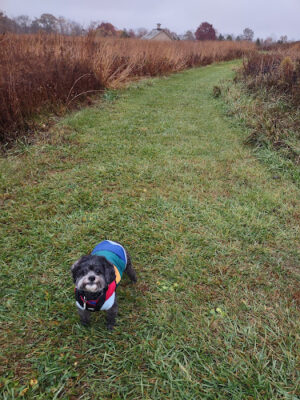 Blues Creek Park